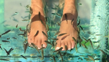 Пилинг рыбками в салоне Пилинг рыбками в салоне