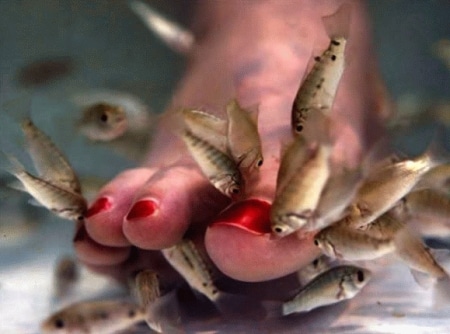 Пилинг гарра руфа Пилинг гарра руфа