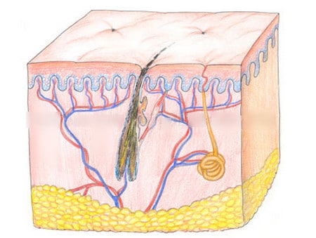 мгновенное отмирание нежелательных волос во время эпиляции