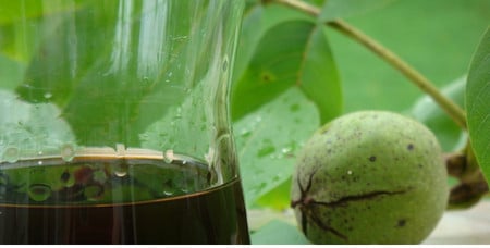 Сок зеленых орехов зеленый орех