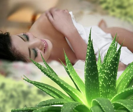 сок прекрасно увлажняет и питает кожу свойства алое