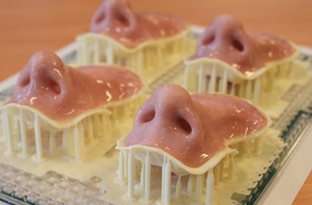 3d печать носа