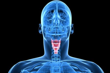 Нарушение речи при образовании папиллом на голосовых связках Нарушение речи при образовании папиллом на голосовых связках