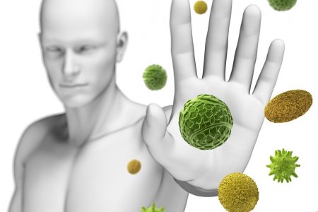 Появление папиллом при ослаблении иммунитета Появление папиллом при ослаблении иммунитета