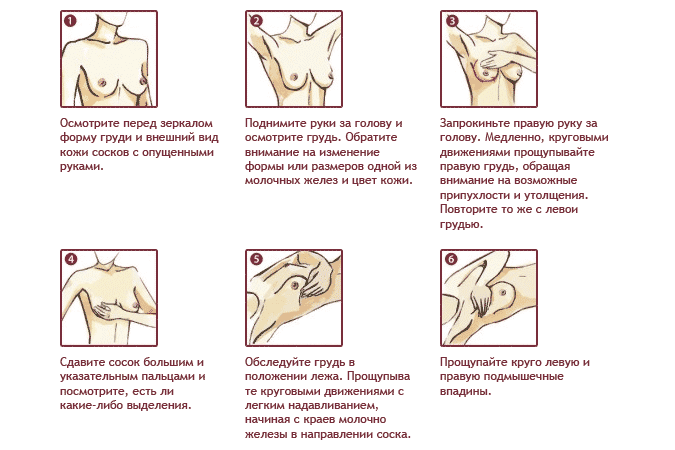 Самообследование груди Самообследование груди