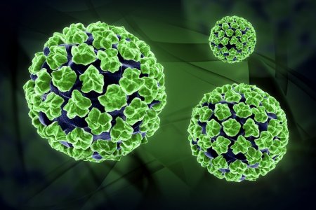 Необходимость борьбы с вирусом ВПЧ для удаления паапиллом Необходимость борьбы с вирусом ВПЧ для удаления паапиллом