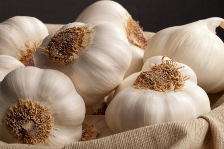 Лечение папиллом чесноком Лечение папиллом чесноком