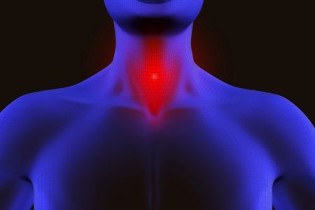 Опасность разрастания папиллом в горле Опасность разрастания папиллом в горле