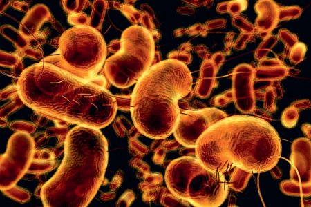 Потемнение папиллом при попадании инфекции Потемнение папиллом при попадании инфекции