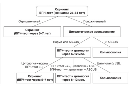 Проведение скрининга на ВПЧ Проведение скрининга на ВПЧ