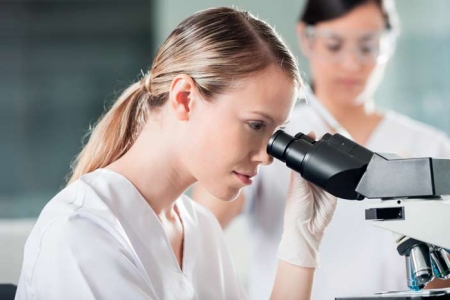 Исследование папилломы Исследование папилломы