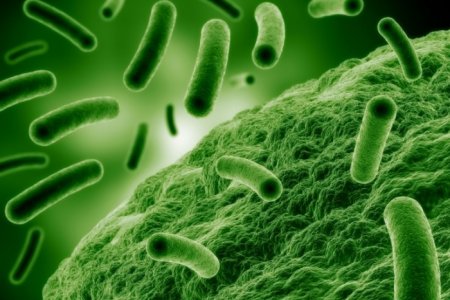 Выявление других заболеваний на фоне ВПЧ Выявление других заболеваний на фоне ВПЧ