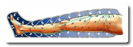 Прессотерапия