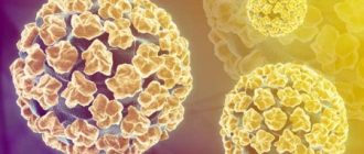 Какие типы вируса папилломы у человека: особенности и что нужно знать