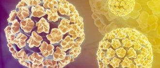 Вирусы папилломы у человека: способы заражения и профилактика